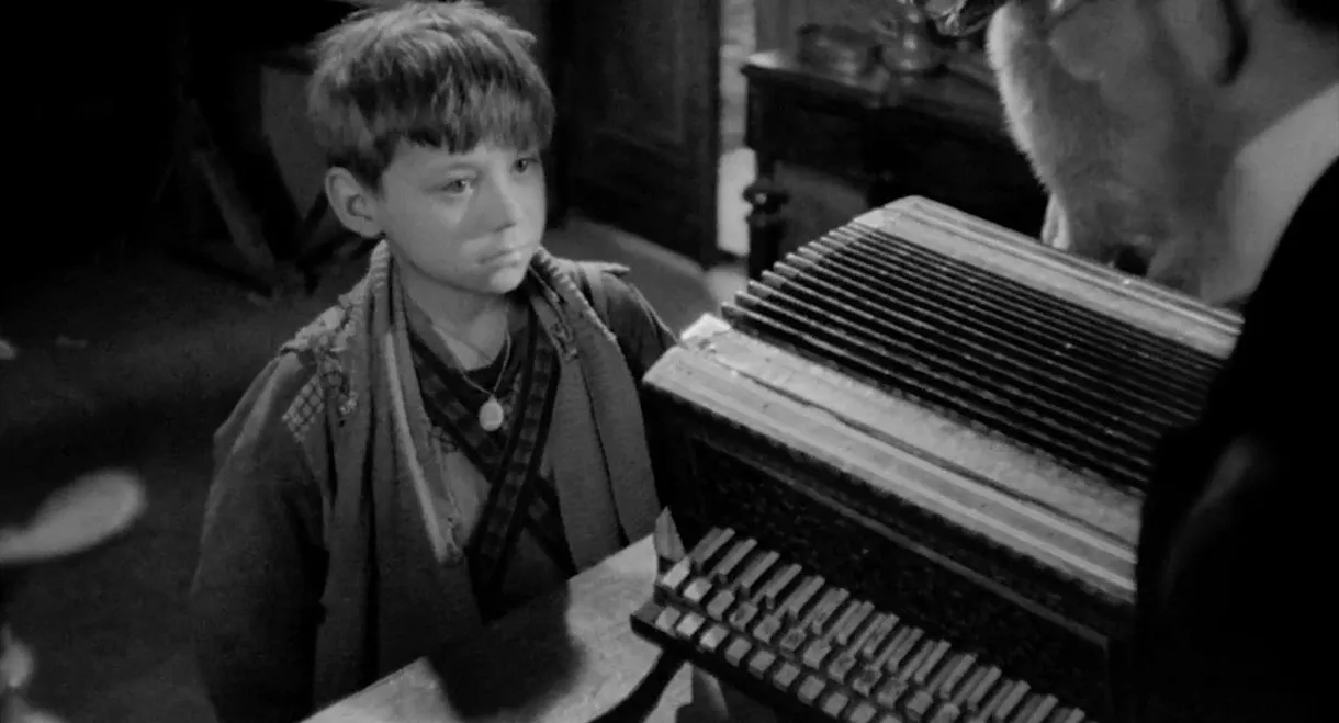 Accordion
