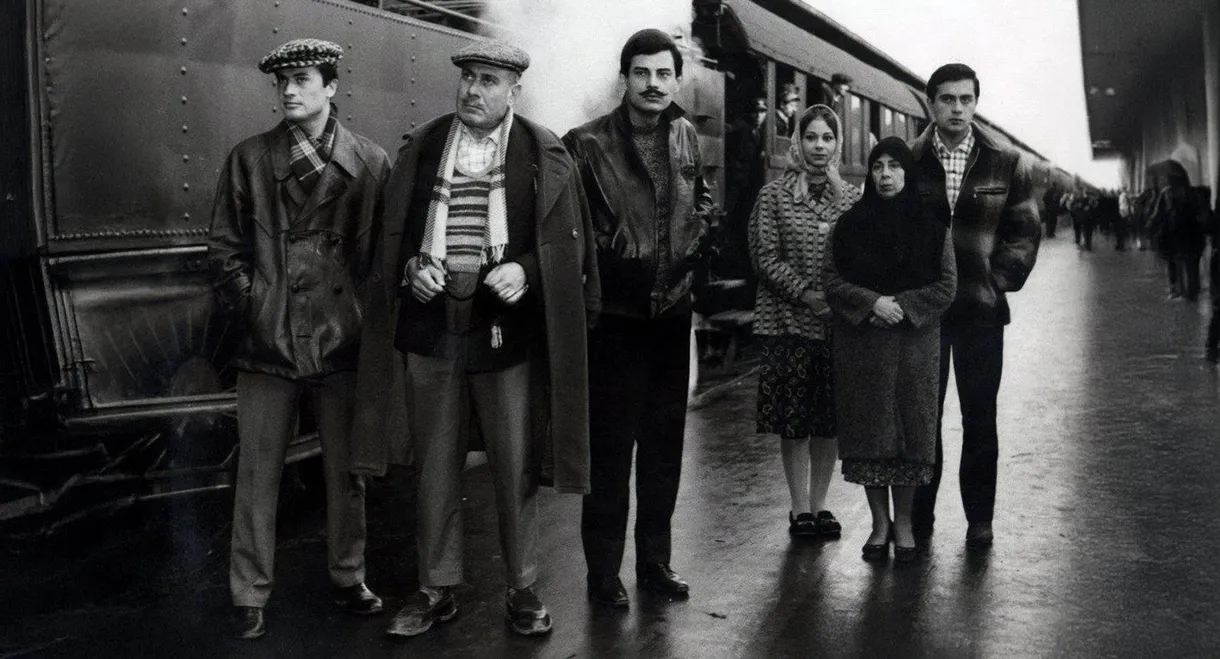 Birds of Exile
