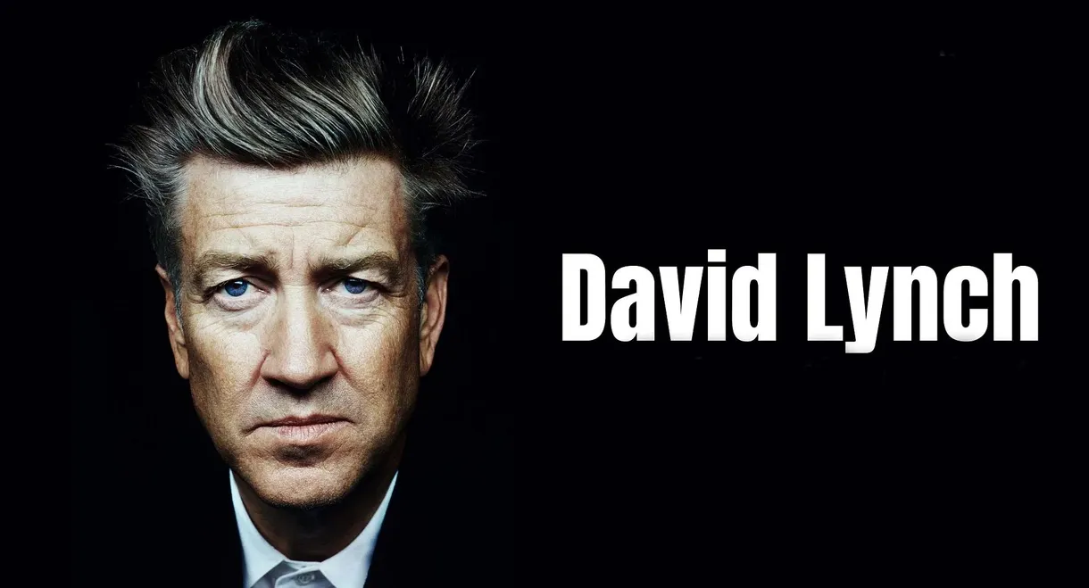 David Lynch, A Hollywood Enigma