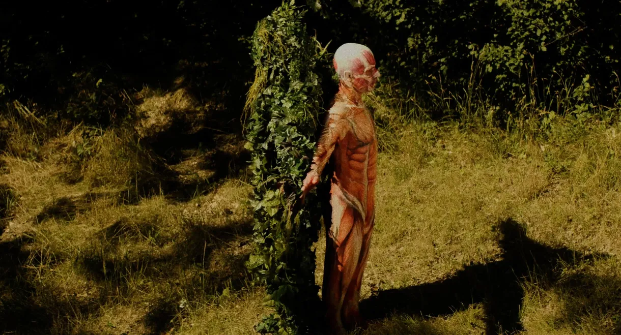 Leaf Man