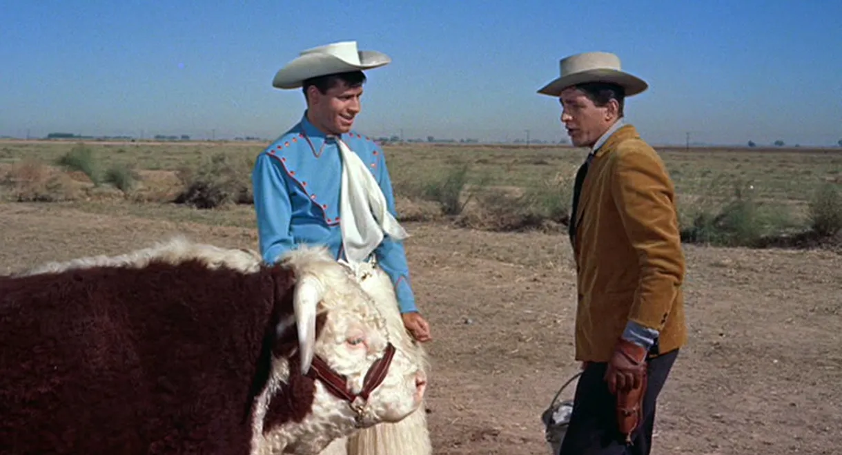 Pardners
