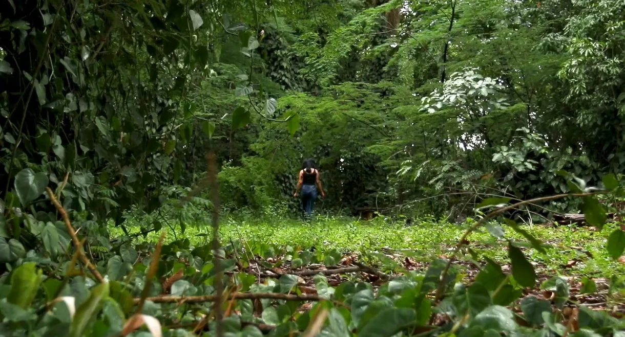 Natur