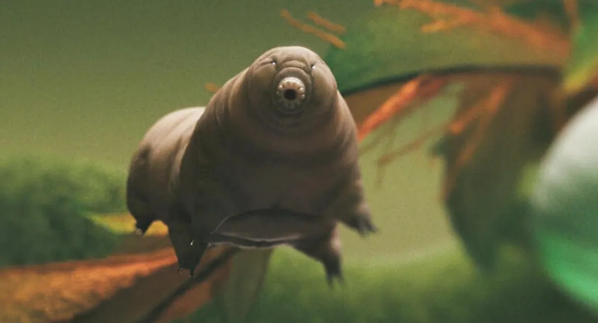 Tiny and Tough - The Incredible Resilience of Tardigrades