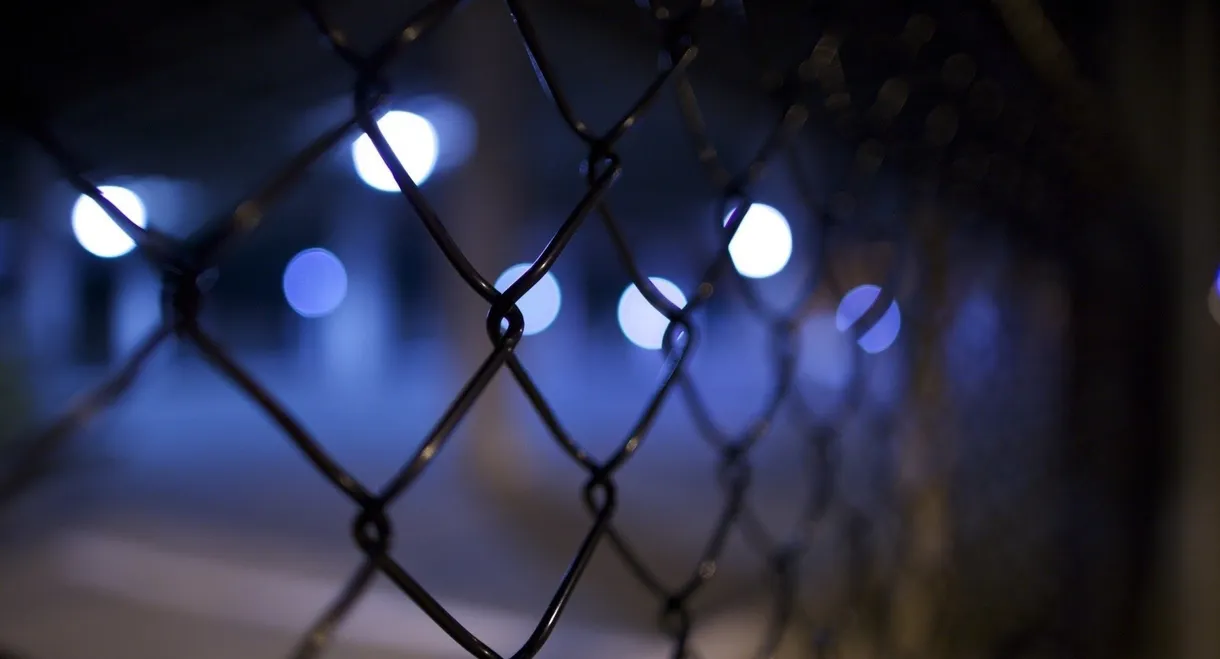 Night Crossing