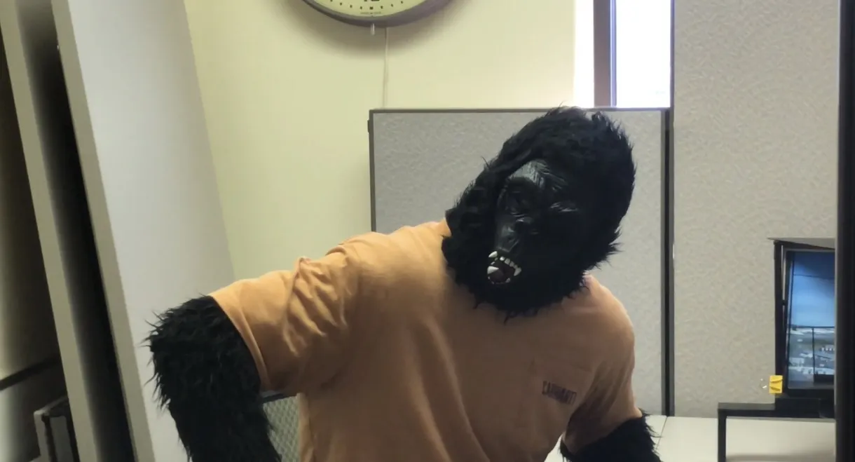 Working with Bigfoot