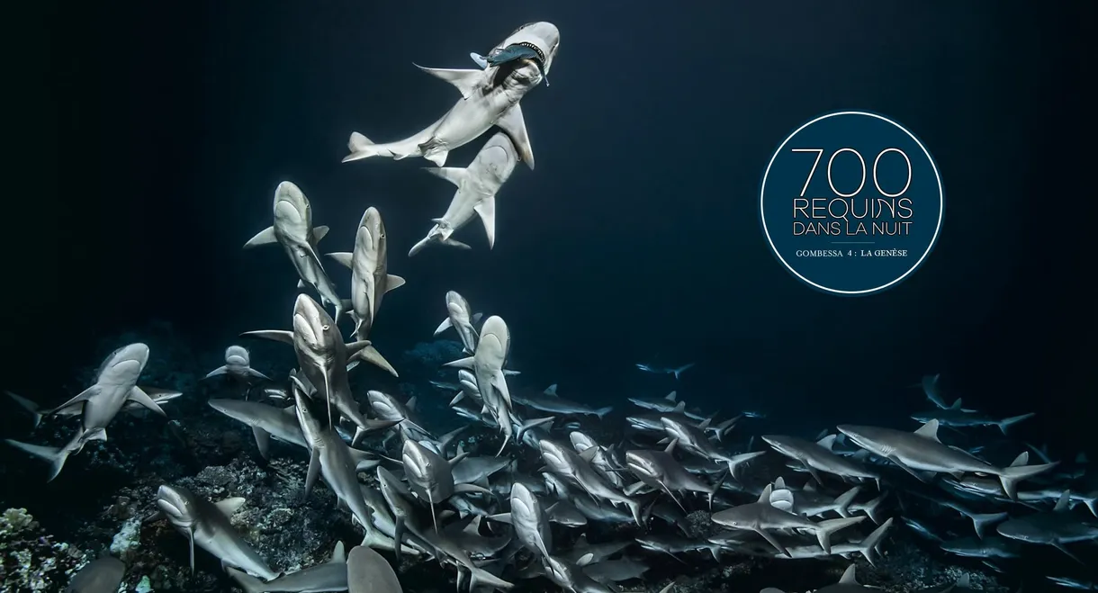 700 Sharks (Gombessa 4, Genesis)