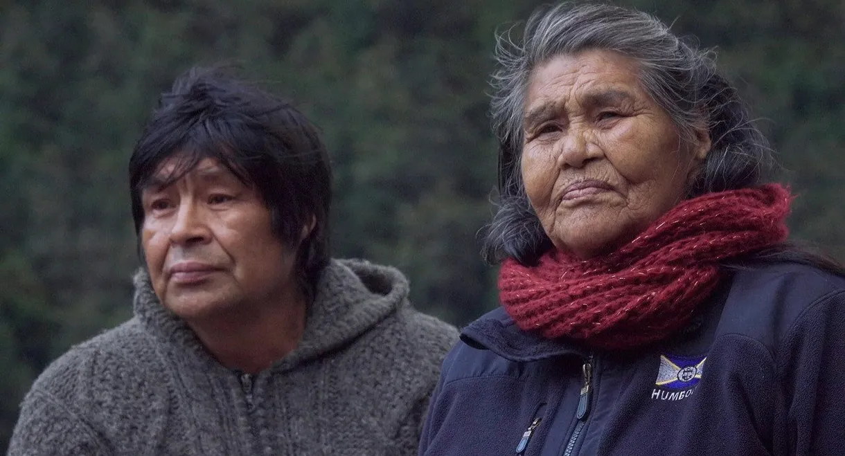 Iniciación Kawesqar de Tomás Tonko Huenucoy