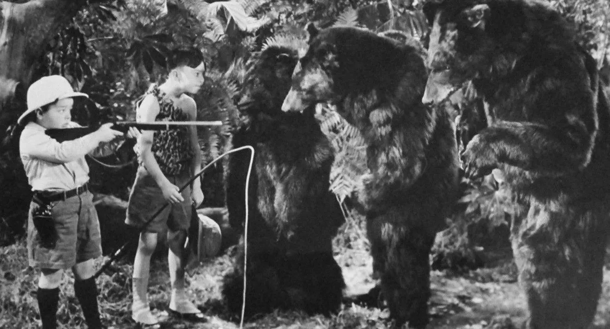 Bear Facts
