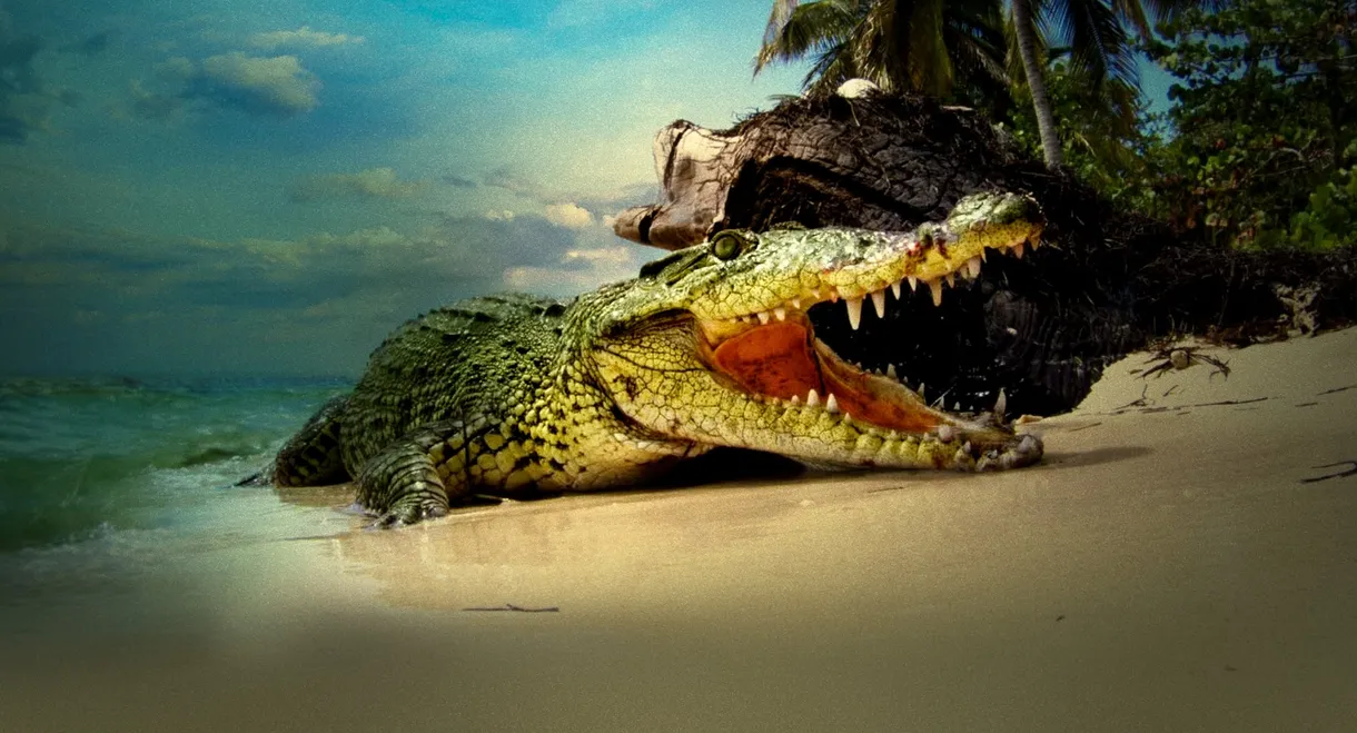 Life and Death in Paradise: Crocs of the Caribbean