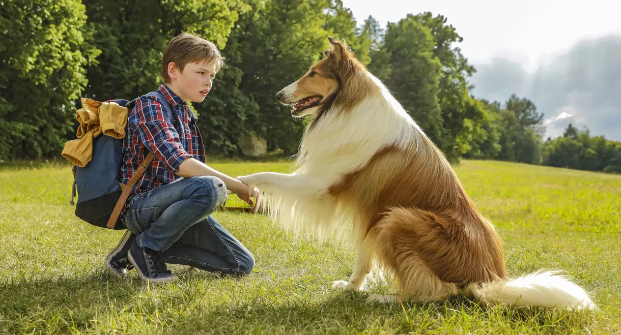 Lassie - Eine abenteuerliche Reise