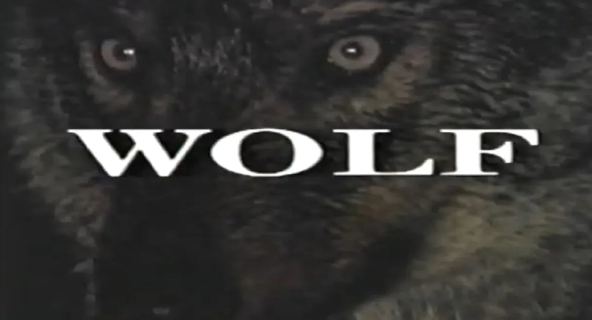 Predators of the Wild: Wolf