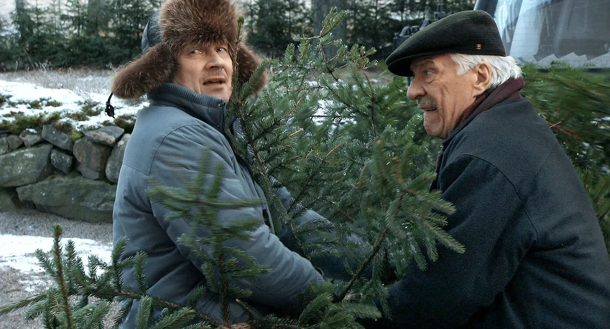 Joulukuusivarkaat