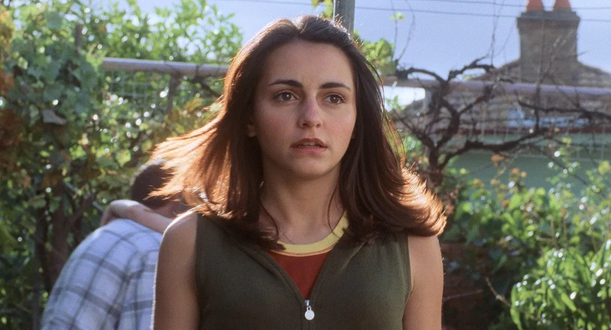 Looking for Alibrandi