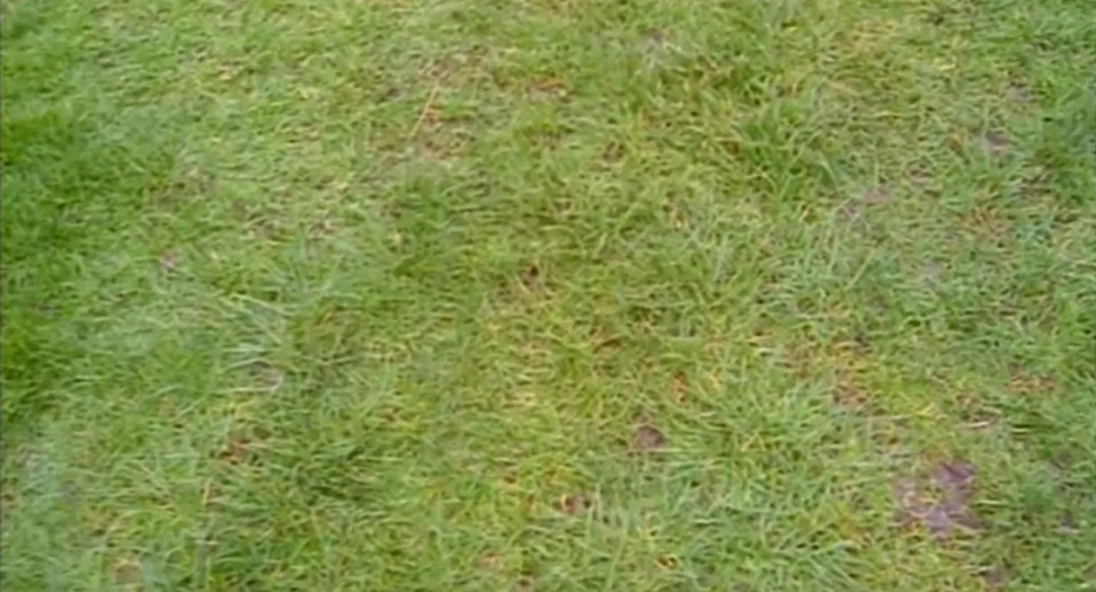 Do You Remember the First Time?