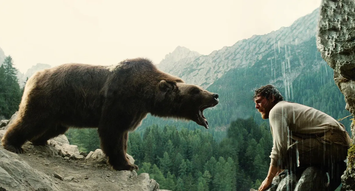 The Bear