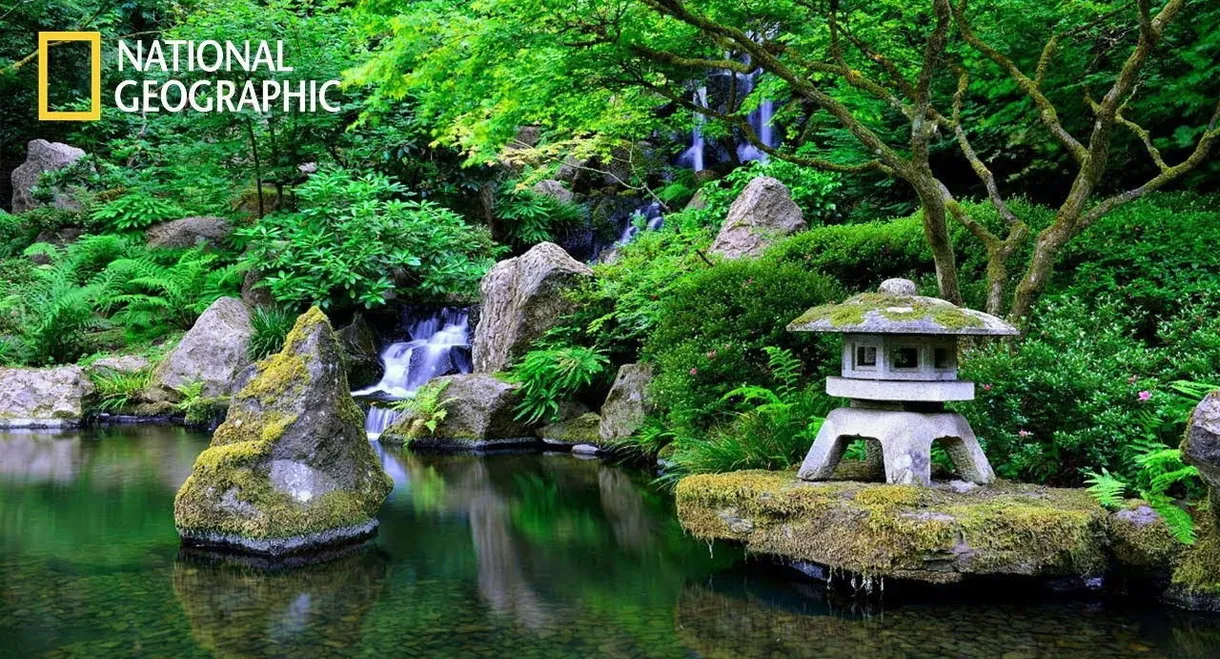Satoyama: Japan's Secret Watergarden