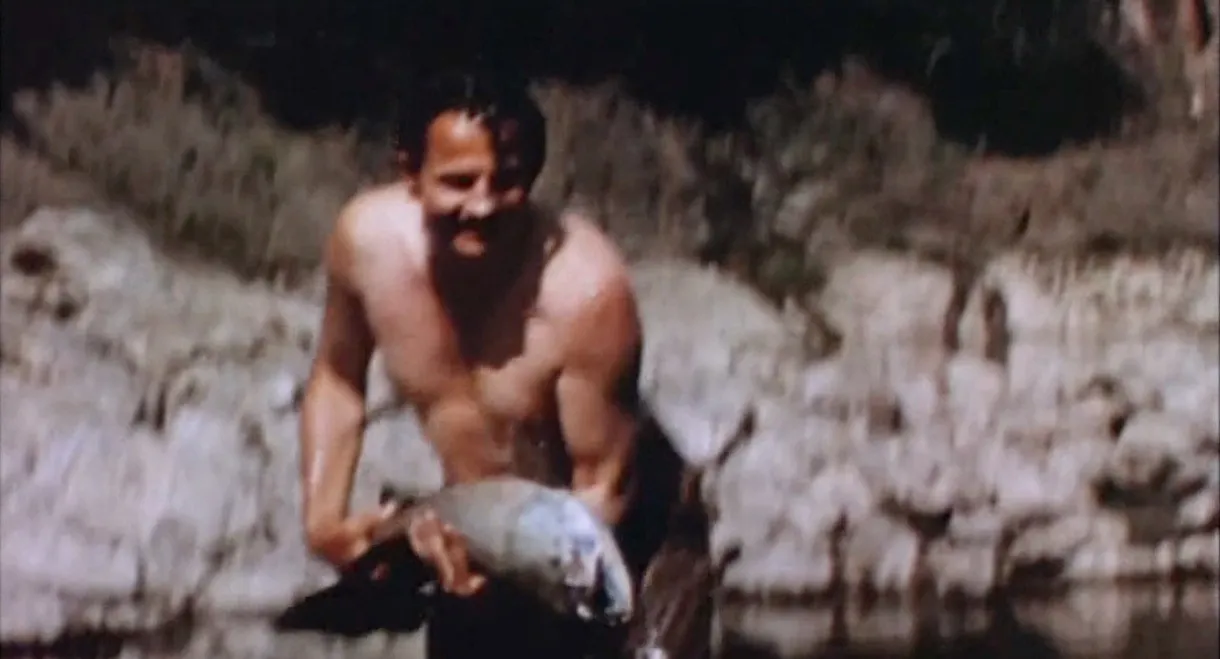 Fish Tales