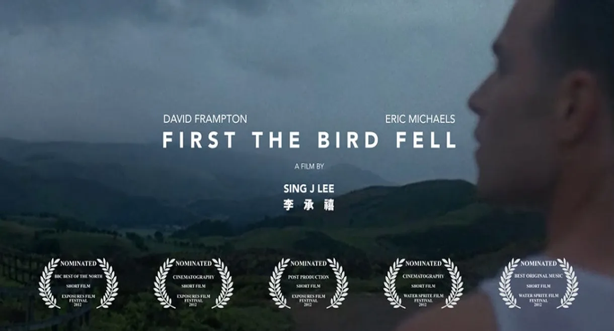 First the Bird Fell