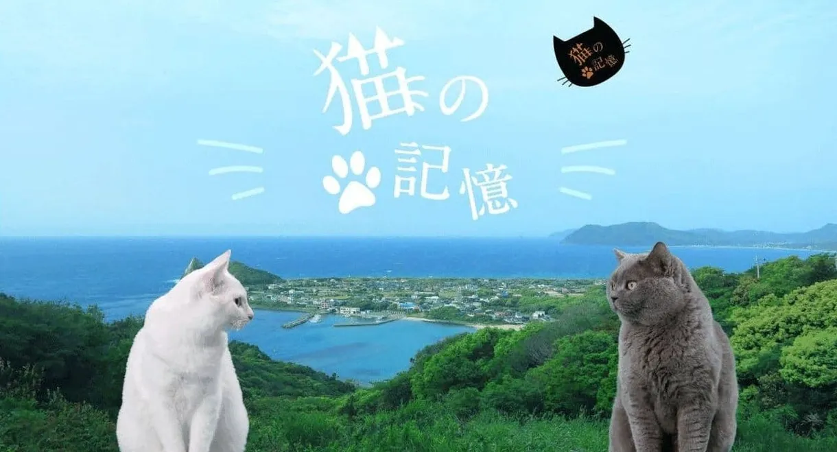 Itoshima Movie: Cat's Memory