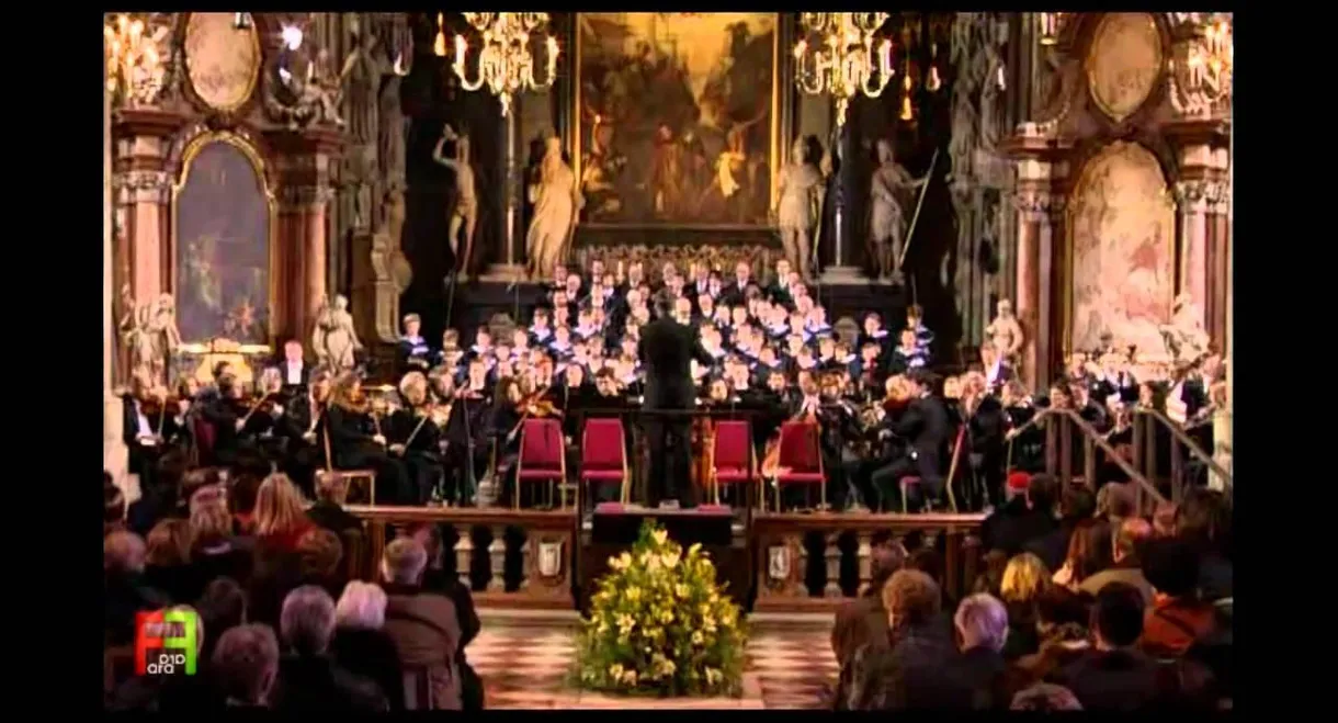 Vienna boys Choir: Choral Works