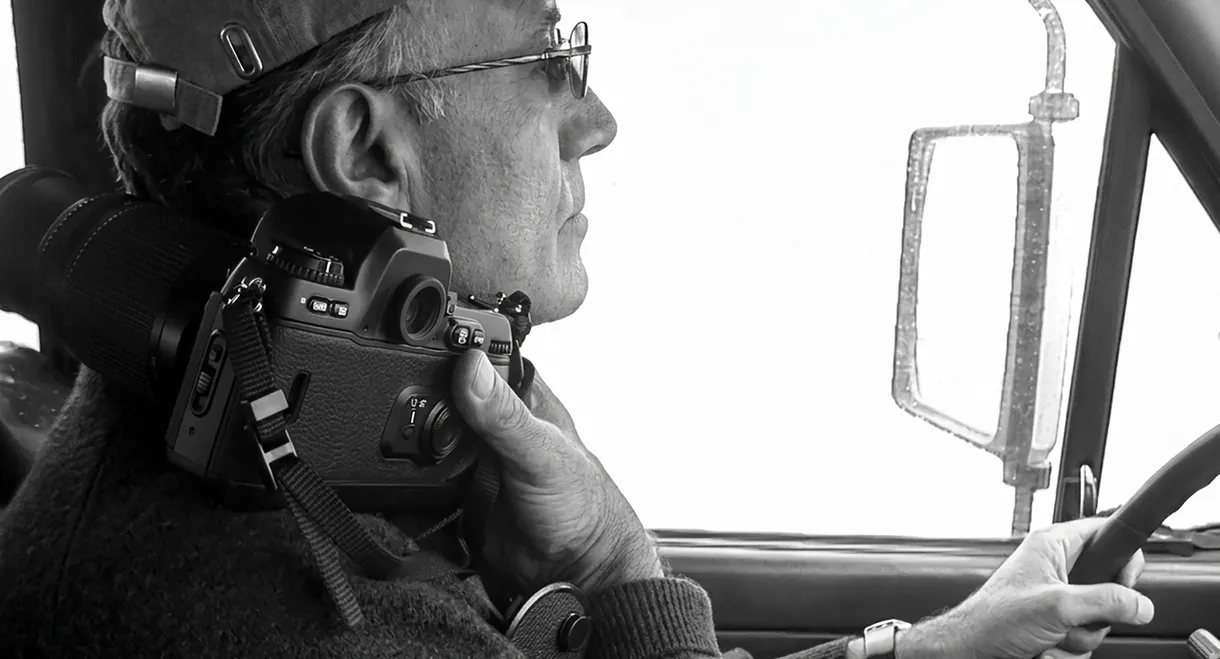On the Road with Abbas Kiarostami