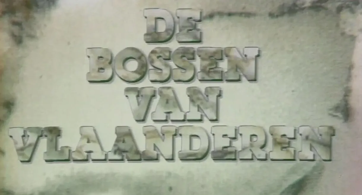 De Bossen Van Vlaanderen