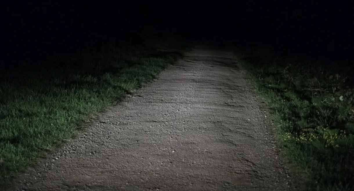 Night Land
