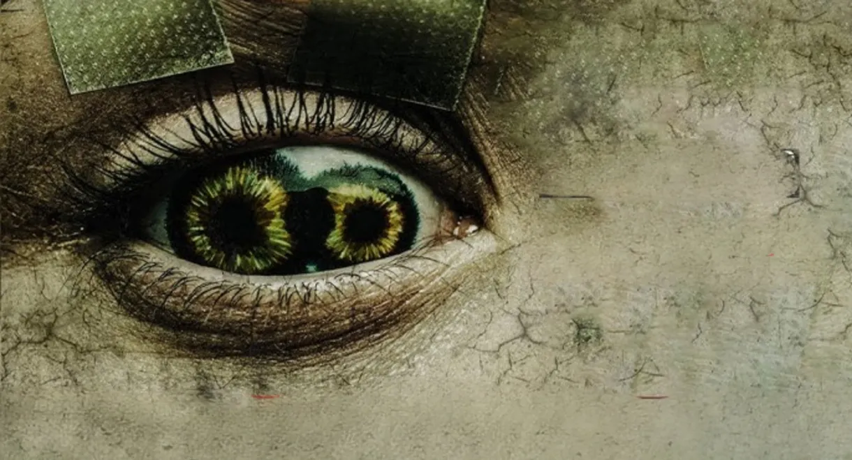 Never Blink