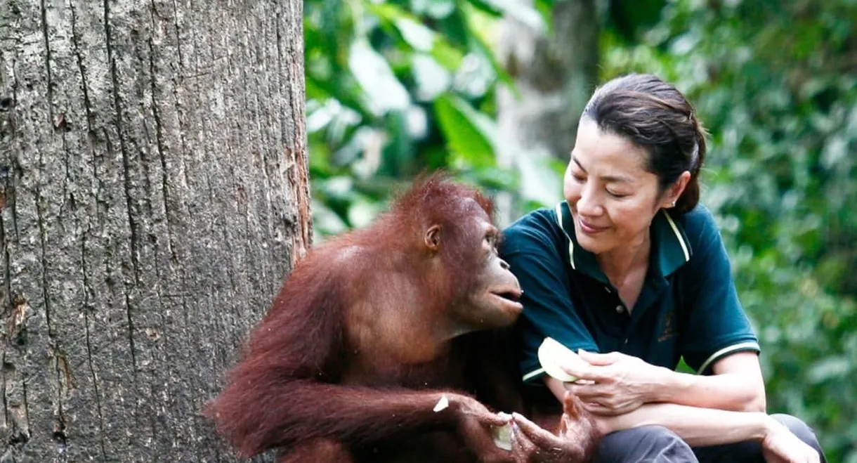 Among the Great Apes with Michelle Yeoh