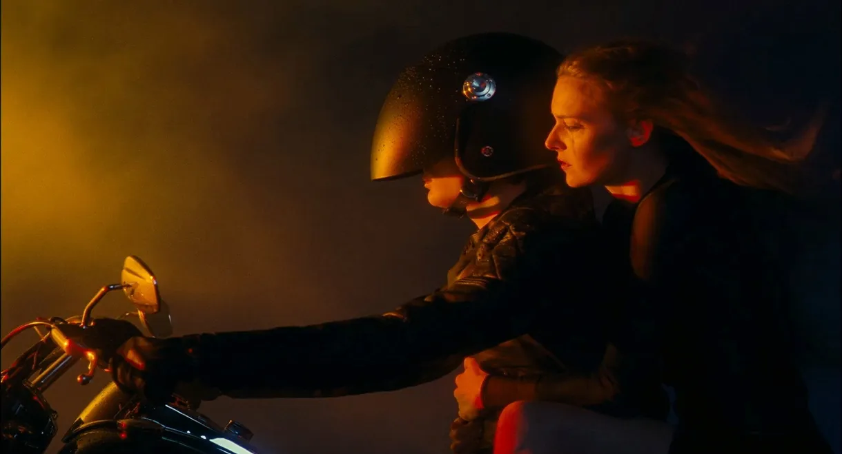 You and the Night