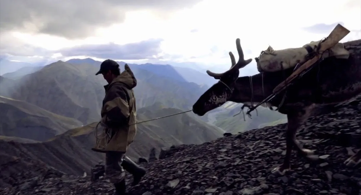 Northern Wind Can Be Warm