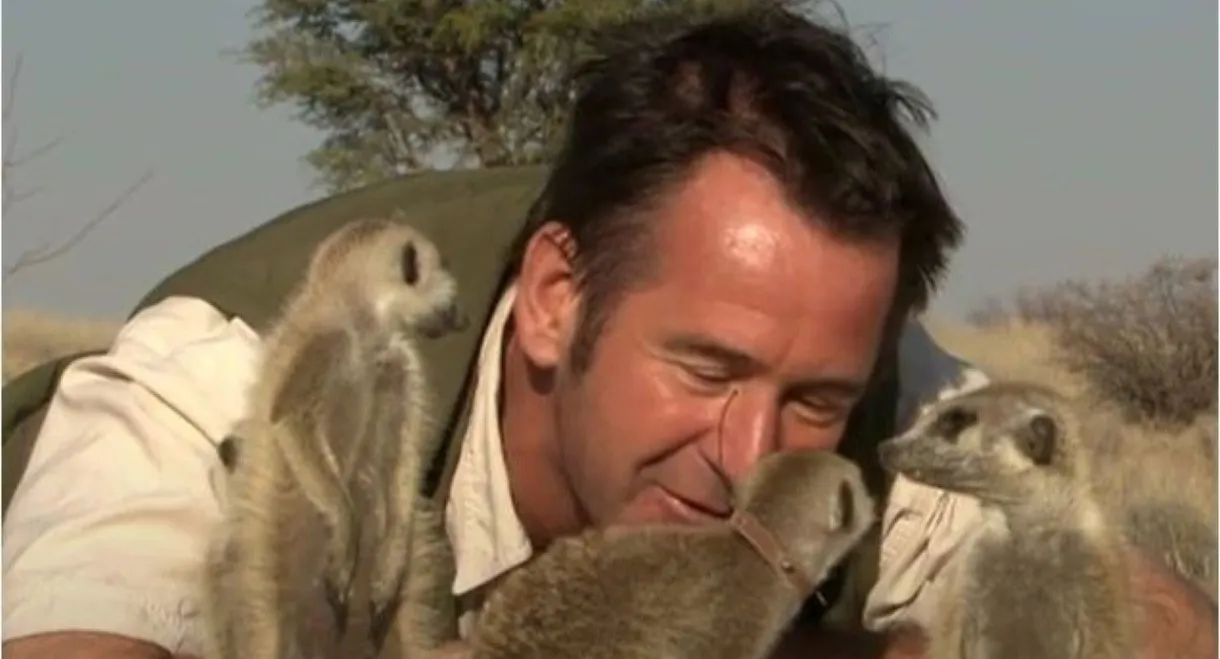 Meerkat Adventure