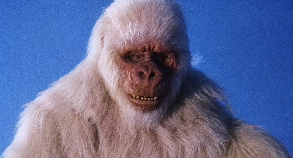 The Ivory Ape