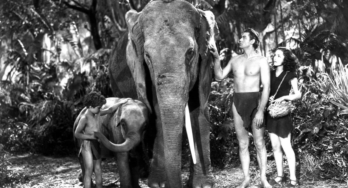 Tarzan Finds a Son!