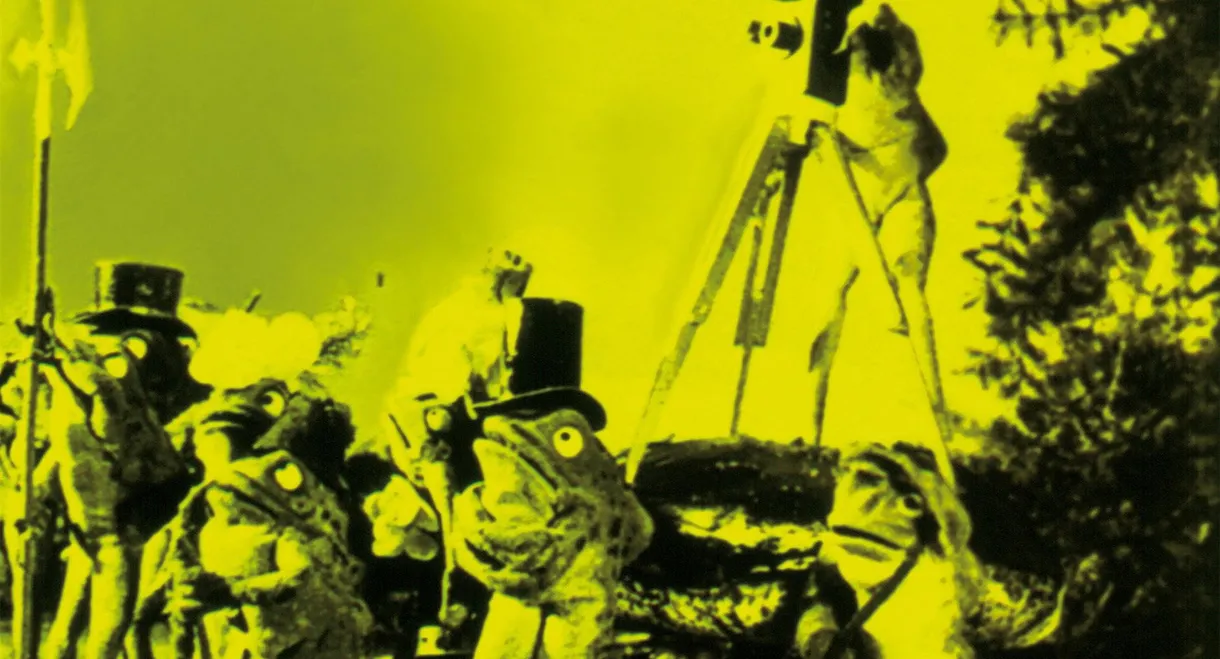 The Frogs Who Wanted a King