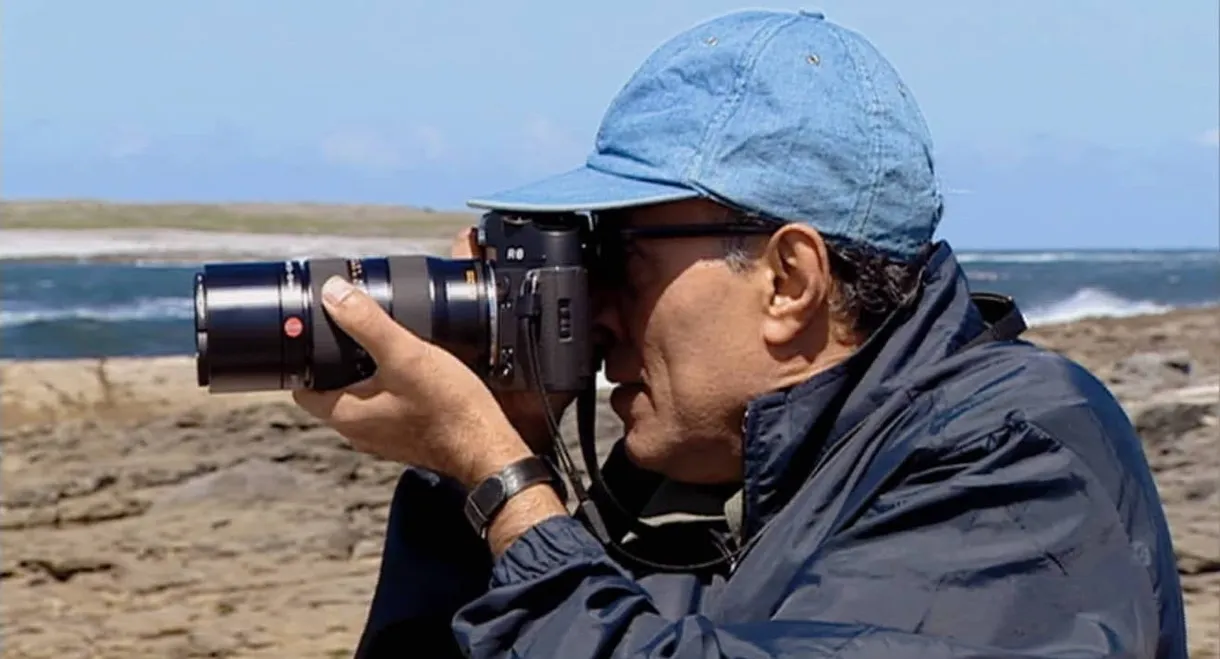 Abbas Kiarostami: The Art of Living