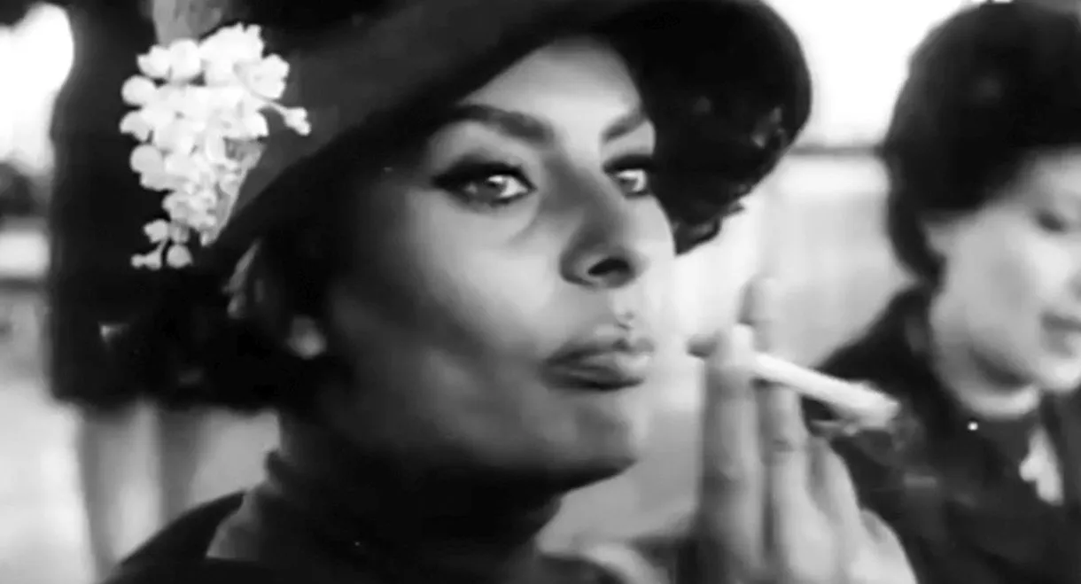 Looking for Sophia