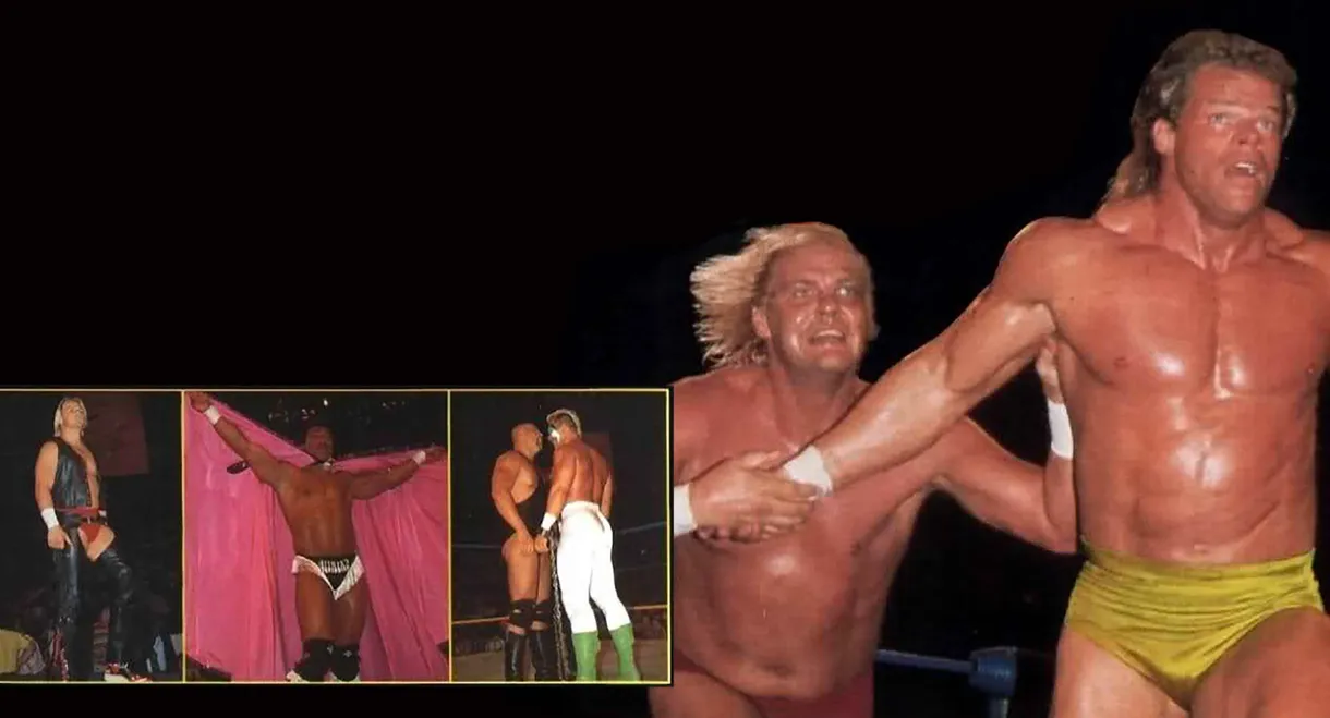 WCW The Great American Bash 1991