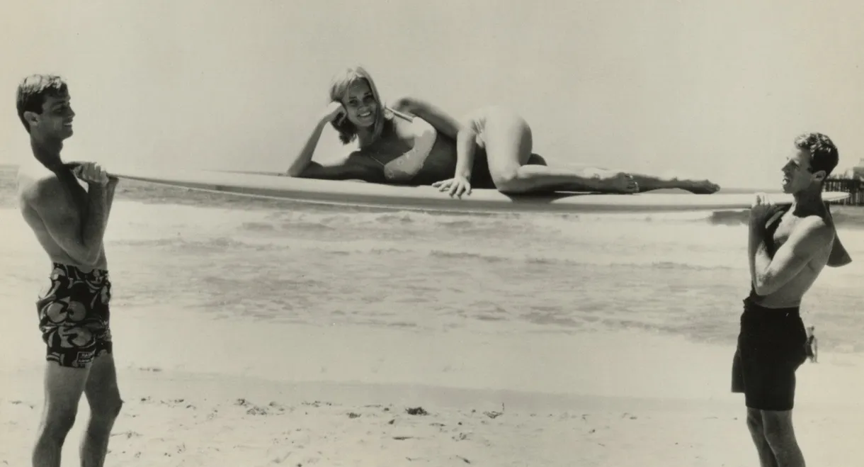Hit the Surf