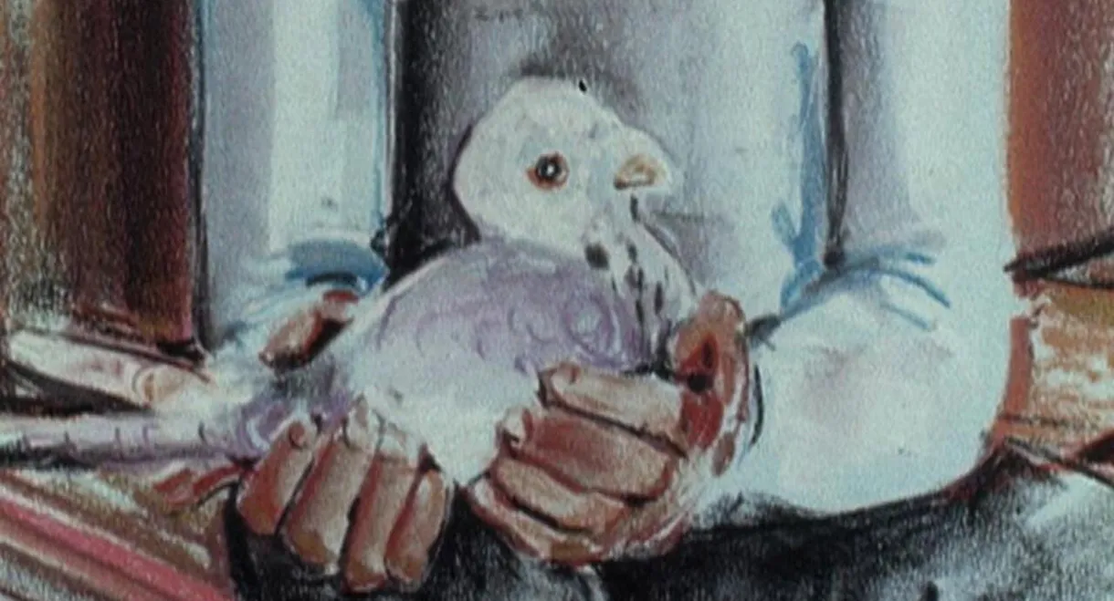 The Pigeon Cree