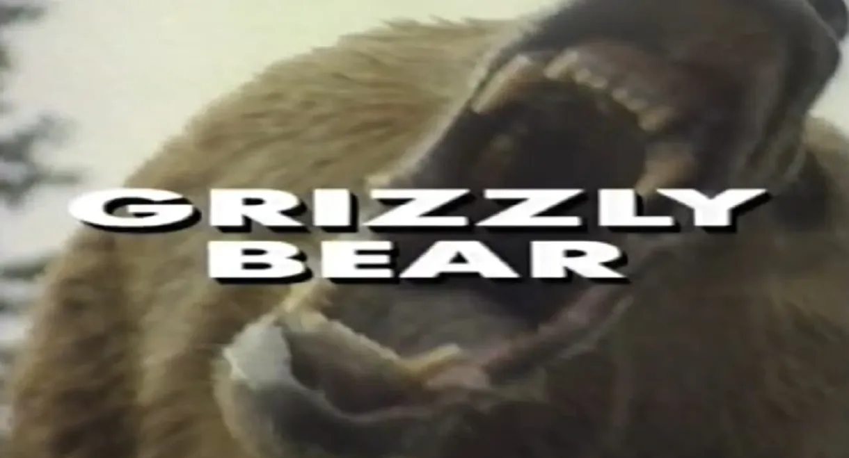 Predators of the Wild: Grizzly Bear