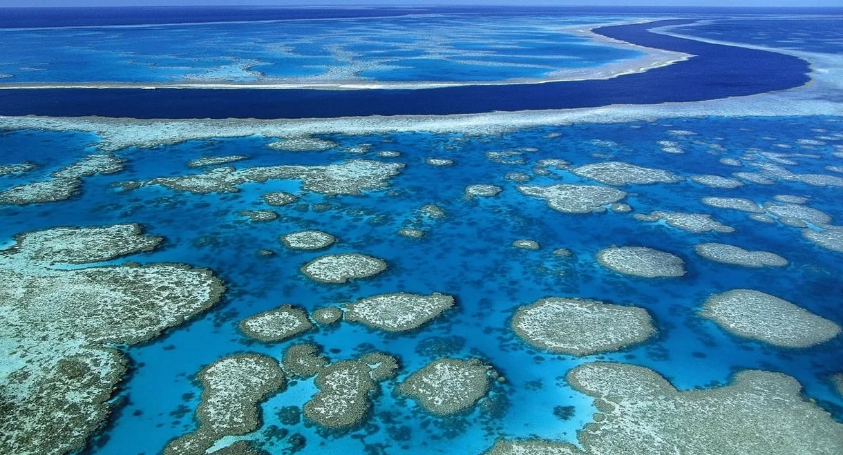 Billy Connolly's World Tour of Australia