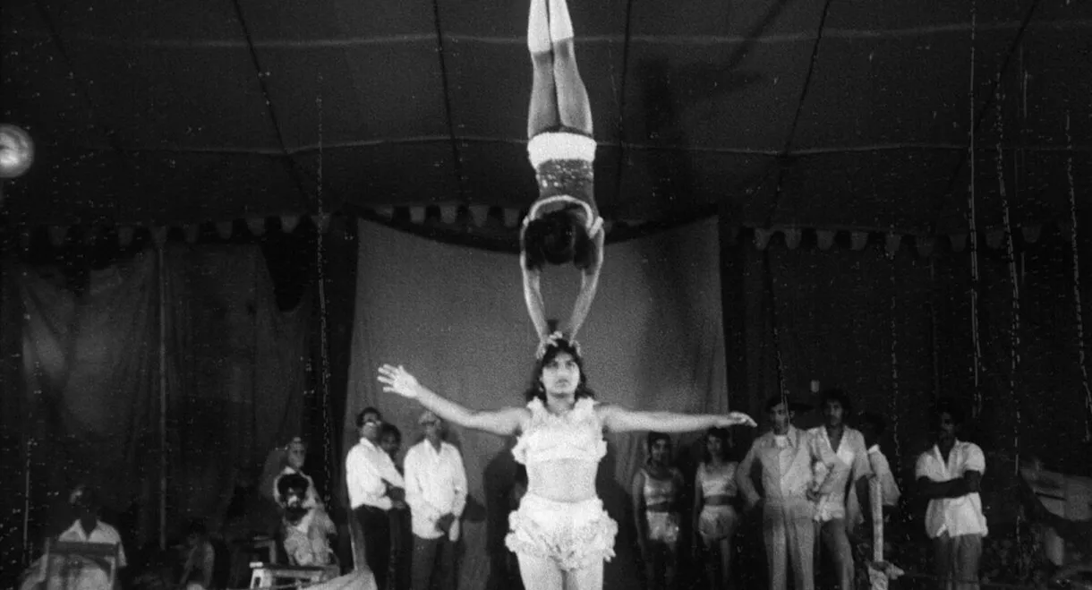 The Circus Tent