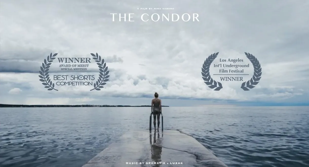 The Condor