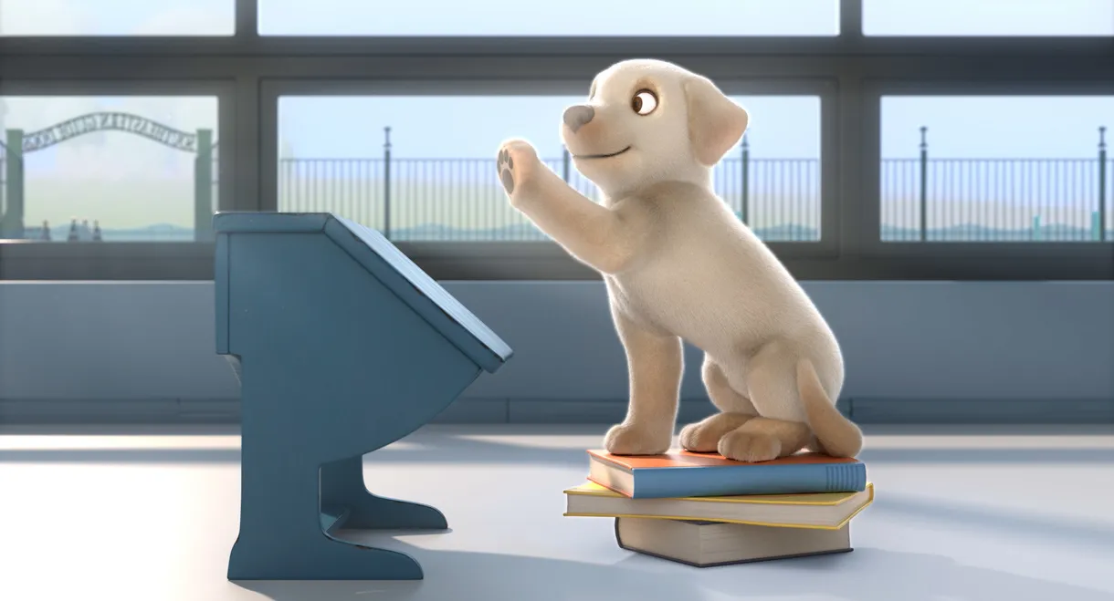 Pip