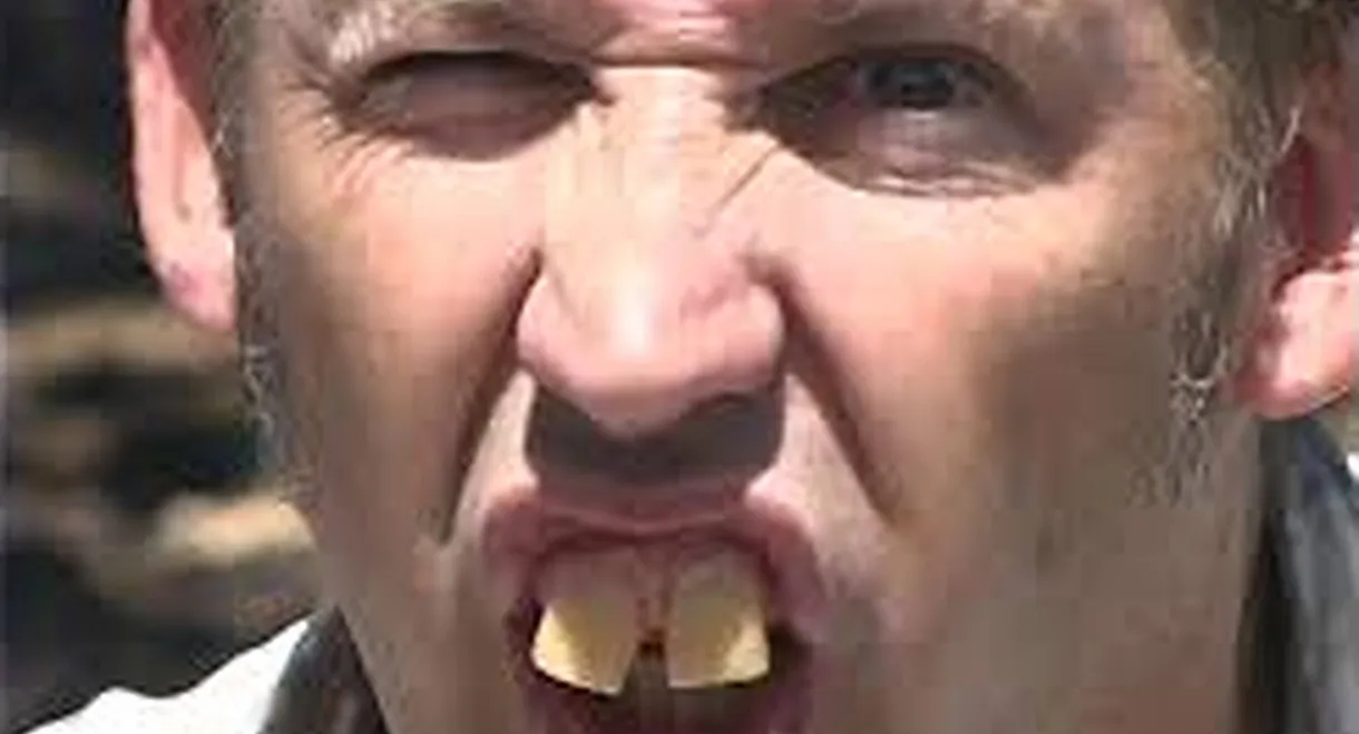 Fudgy Wudgy Fudge Face