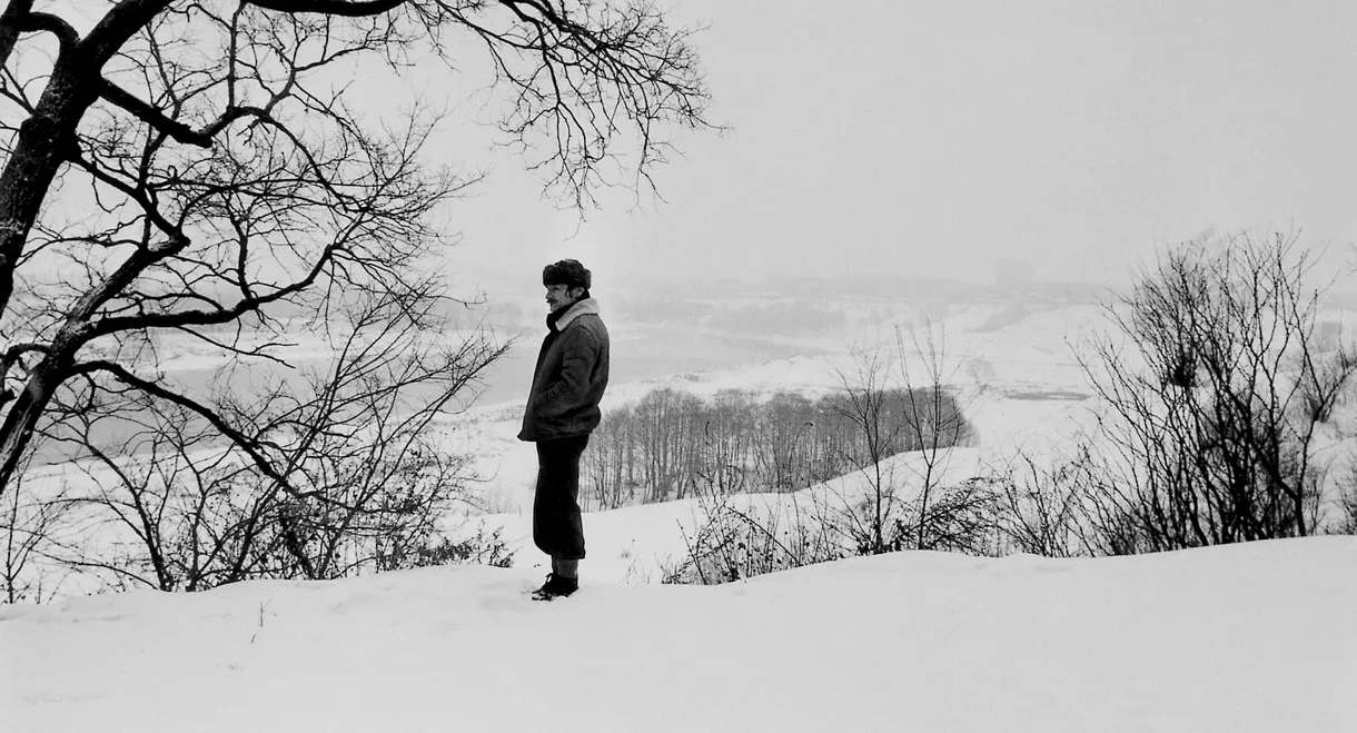 Andrey Tarkovsky. A Cinema Prayer