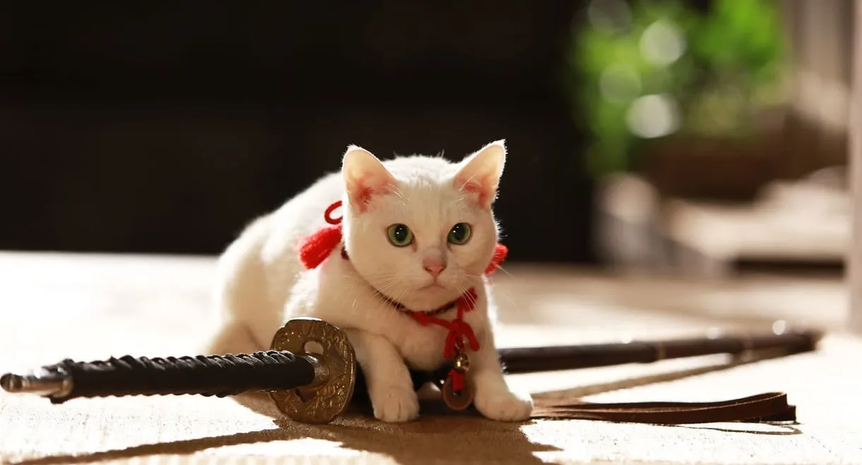 Samurai Cat 2: A Tropical Adventure