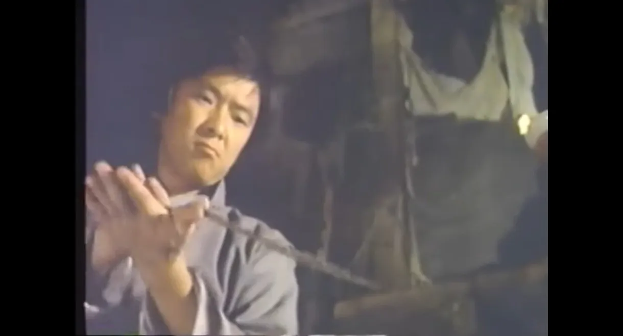 Tiger & Crane Fists