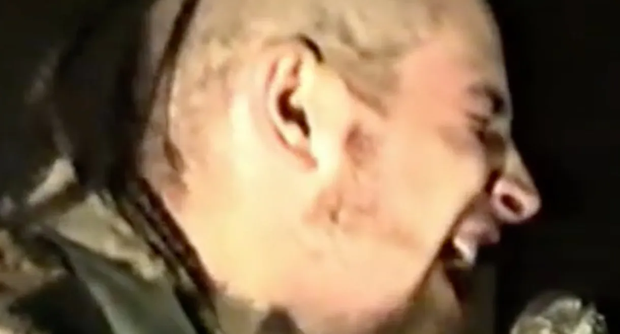 Dambis